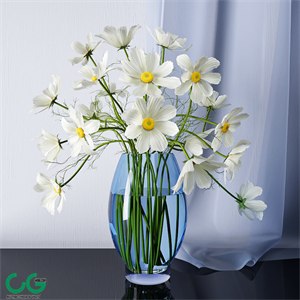 Chamomile